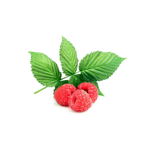 Biokoma Pure Organic Red Raspberry Dried Leaves 50g (1.76oz) in Resealable Moisture Proof Pouch, USDA Certified
