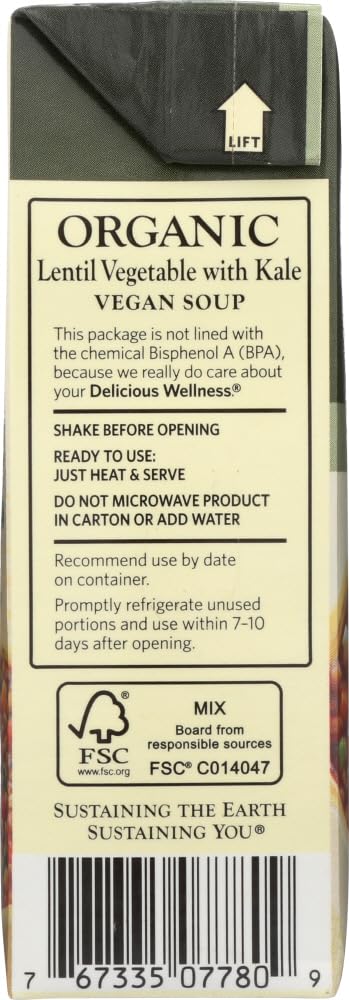 18-Ounce (Pack 6) Dr. McDougall's Right Foods Organic Vegetable Soup, Lentil