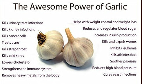 Fresh Garlic Bulbs 4 lbs (2 2 lbs) Whole Bags of Product of USA
