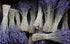 TOMOKOMAMA (2 Dried Lavender Bundles - Freshly Harvested Organic Lavender Bunch Royal Velvet Bouquet for Decoration
