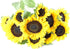 KaBloom Flowers - Bluehill Collection - 10 Sunflower - Gift for Birthday,