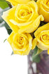 6 KaBloom PRIME NEXT DAY DELIVERY - Fall Collection - Yellow Sunshine Bouquet of Fresh Cut Yellow Roses with Vase .Gift