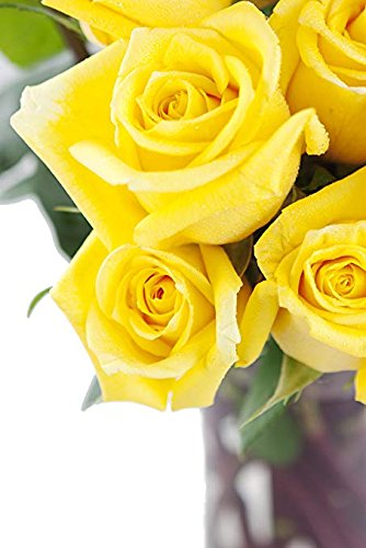 6 KaBloom Flowers - Valentine Collection - Yellow Sunshine Bouquet of Fresh Cut Yellow Roses Without Vase - Gift