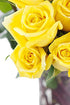 6 KaBloom Flowers - Valentine Collection - Yellow Sunshine Bouquet of Fresh Cut Yellow Roses Without Vase - Gift