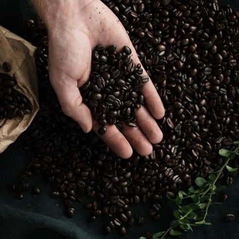 17.6-Ounce Packages (Pack 2) Arvid Norquist Classic Coffee, Mellanrost (Medium Roast)