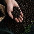 17.6-Ounce Packages (Pack 2) Arvid Norquist Classic Coffee, Mellanrost (Medium Roast)