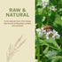 500g 17.6oz, Antioxidant-Packed OneRoot Raw Buckwheat Honey / Unheated & Unprocessed Dark Nutrient-Rich, Natural