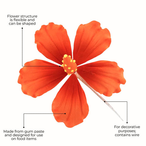 3 Count Global Sugar Art Hibiscus Sugar Cake Flowers, Orange with Deep Orange, Hawaiian Cake Flower Large by Chef Alan
