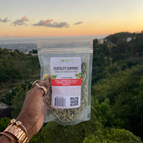 Rivina Humilis - Jamaican Dog Blood Herb for Enhanced Fertility