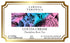 Larissa Veronica (12 572195) 2 Pack Cocoa Cream Dandelion Root Tea (Single Serve K-Cup Pods) pods, ZIN: