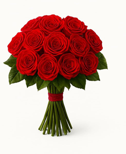 Generic One Dozen Fresh Roses Bouquet, 12 Premium Long-Stem Ecuador Roses, Hand-Tied Floral