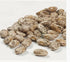 2 Camellia Brand Pinto Beans Dry Bean, Pound Bag
