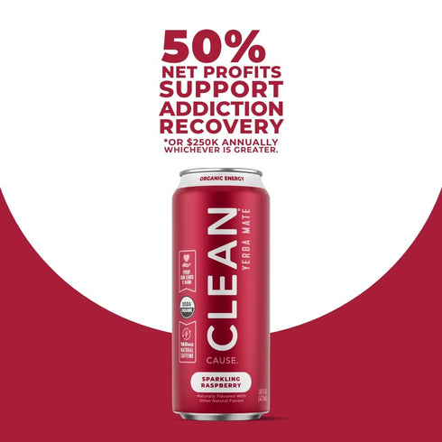 160mg (16oz 12-Pack CLEAN Cause Low Calorie Raspberry Yerba Mate Tea Sparkling, USDA Organic Energy Drink Alternative