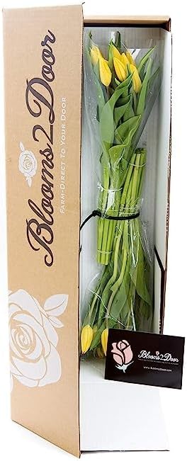 20 KaBloom PRIME OVERNIGHT DELIVERY - WEDDING COLLECTION - PREMIUM Yellow Tulips. Gift for Birthday, Sympathy