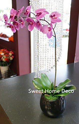 Greenery --- Sweet Home Deco (12, 6.5''L) Sweet Home Deco Gel Coated Phanaenopsis Orchid Artificial Greenery Leaf