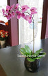 Greenery --- Sweet Home Deco (12, 6.5''L) Sweet Home Deco Gel Coated Phanaenopsis Orchid Artificial Greenery Leaf