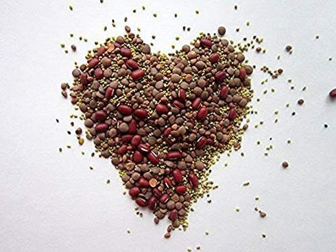 6 "COOL BEANS n SPROUTS" Brand, Love Your Heart Mix Seeds for Sprouting microgreens, Ounces, A Combination of Adzuki