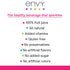 100% 8oz 24) Envy Sparkling Fruit Juice, Strawberry Kiwi (Case