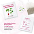 Nutra Tea - Raspberry Leaf & Peppermint Tea, Herbal Tea for Pregnancy & Expectant Mothers - 40 Tea Bags (2 Pack)