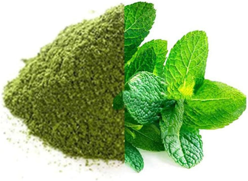 100% 227 0.5 LBS Natural Mint Leaves Powder for Skin and Health Care GMS /