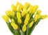 20 KaBloom PRIME NEXT DAY DELIVERY - Shasta Collection : Bouquet of Yellow Tulip with Vase Gift for Birthday, Sympathy