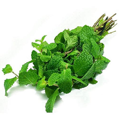 TastePadThai Fresh Herbs Bundle. Fresh Rosemary, Thyme, Oregano and Fresh Mint