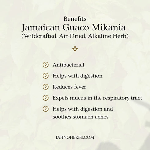 Wildcrafted Jamaican Guaco Mikania - Air-Dried Alkaline Herb