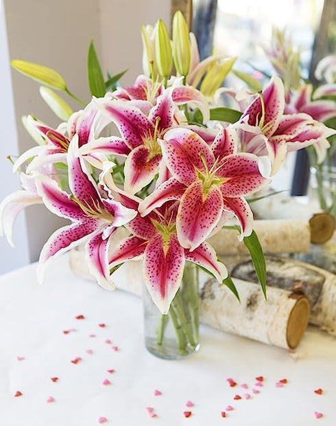 5 KaBloom - Tranquil Sympathy Breeze Bouquet of Pink stargazer lily With Vase - Fresh Flowers for Birthday, Valentine's