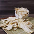 Visit the Store (4oz) Royal Seafood USA Premium Chinese Herb Premium Dried Radix Angelica Slice Dang GUI