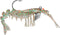 Egret Baits 4" Jumbo Vudu Shrimp, 1/4oz - Creole Magic (2-Pack) E-VS40-14-47