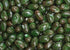 (3LB, Bayside Candy Jelly Bean Collection All Flavors Jelly Beans Watermelon)