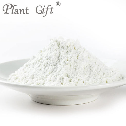 Plant Gift 100% 100G/3.25oz Pure Poria Cocos Powder Natural Poria Cocos Flour, Great Flavor for Drinks, Adds Flavor