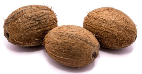 Generic Fresh Whole Coconuts, Raw, All-Natural, 3 Pack