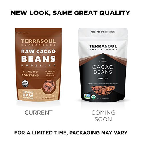 16 Oz, Terrasoul Superfoods Raw Organic Criollo Cacao Beans, Raw Chocolate Goodness for Baking, Snacking, and Homemade