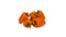 RawJoy Fresh Tatayoyo Pepper By Farm