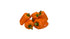 RawJoy Fresh Tatayoyo Pepper By Farm