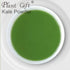 Plant Gift 100g/3.52oz 100% Kale Powder Natural Pure Natural Food Coloring, Great for Baking, Juices, Smoothies, Shakes