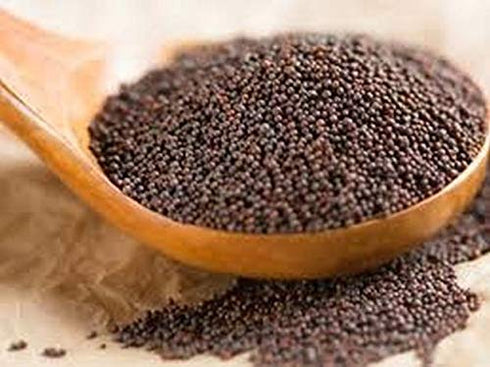 Indian Spice Mustard Seeds, 7oz