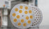 12 oz (912 Premium Imported Gluten Free Pasta Fusilli - Corn and Rice - Artisanal Slow-Dried Hours) Made in Italy