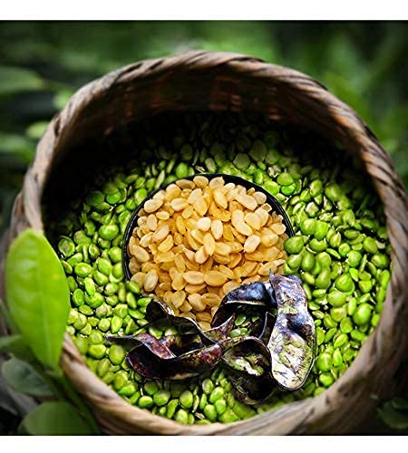 NESTLADY Gleditsia Sinensis (Snow Lotus Seed), 100% Natural Plant Collagen and Fiber, Low Fat, 100g (3.53oz)