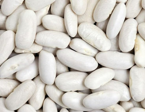 10 High Plains Great Northern White Beans | Pound Bag | Farm-Fresh Northern White Beans | Non-GMO Verified | High