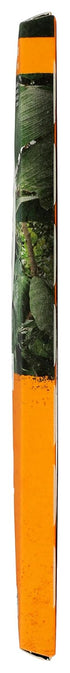 85% 2.65 oz (75 Alter Eco Organic Dark Chocolate Bar, Almond Blackout, Cacao, g)