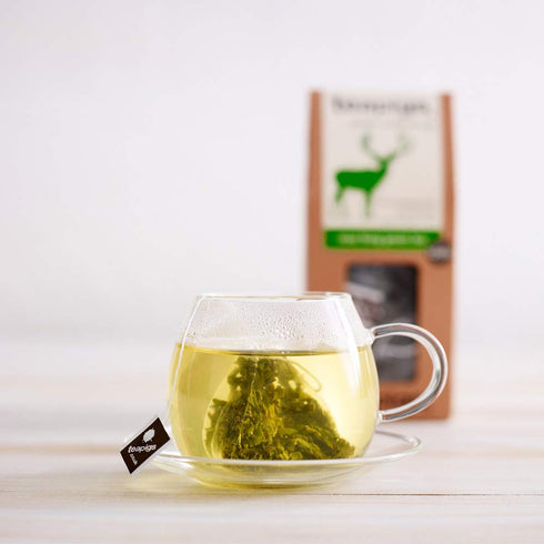 Teapigs Mao Feng Green Tea (1 Pack of 15 Tea Bags)