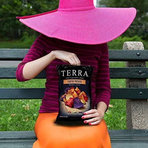 5 Oz (Pack 6) Terra Vegetable Chips, Exotic Potato Vegetable Chips with Sea Salt, Bag