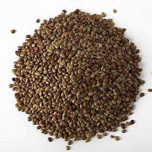 3 NY Spice Shop Horse Gram Lentils Pound Horse Gram Indian Kulthi Beans Muthira Seeds Macrotyloma uniflorum Full