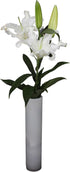 10 stems giant white lilies Fresh Flower Bouquet Gifts for Birthday Anniversary Friendship and Love