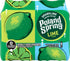 16.9 oz. (8 Pack) Poland Spring Sparkling Water, Zesty Lime, Bottles