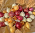 3 LB Kejora Fresh Boiler Onions/Boiling Onions (TriColor, Onion)