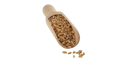 (10LB) Organic Italian Pearled Farro - Imported, Raw, Non-GMO, Vegan, Bulk, Protein, Fiber Rich
