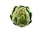 ARTICHOKES At The Neighborhood Corner Store ARTICHOKES FRESH FRUIT VEGETABLES PRODUCE EACH (1)